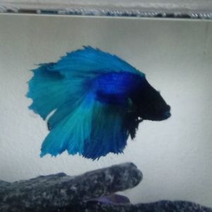 Meet your Posher, Seth